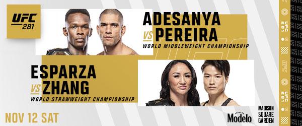 UFC 281: ADESANYA vs. PEREIRA