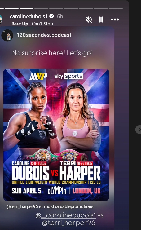 MVP Dubois vs Harper - MMA Fight Coverage